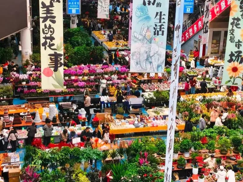 Dounan Flower Market and Local Bites in Kunming