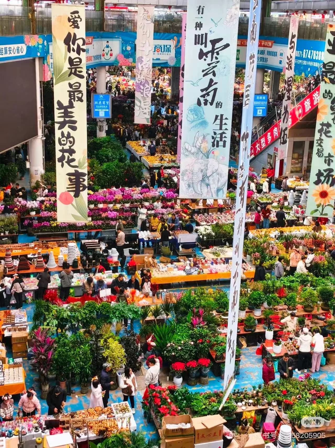 Dounan Flower Market and Local Bites in Kunming