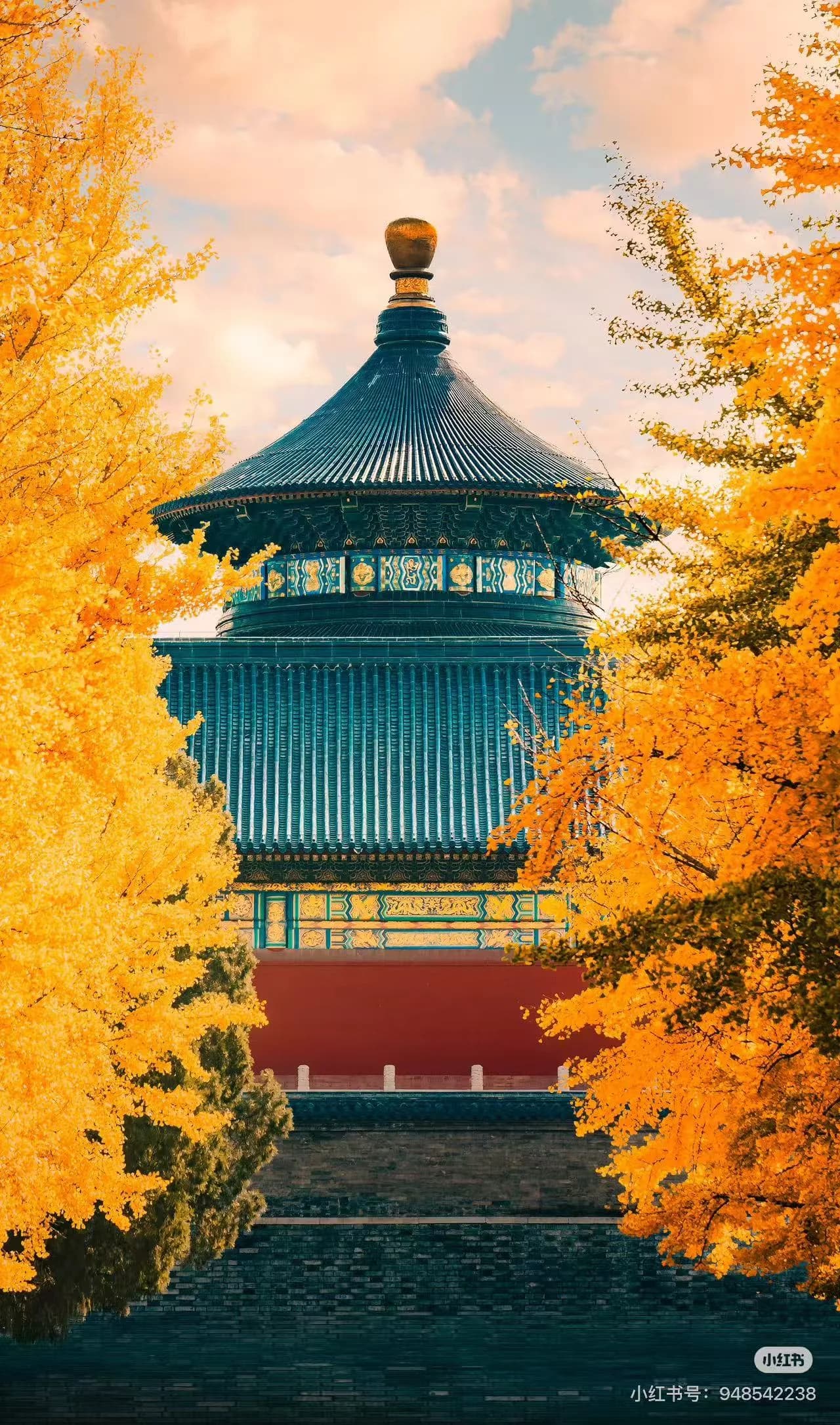 Beijing in Autumn: When the Ginkgo Turns the City Gold