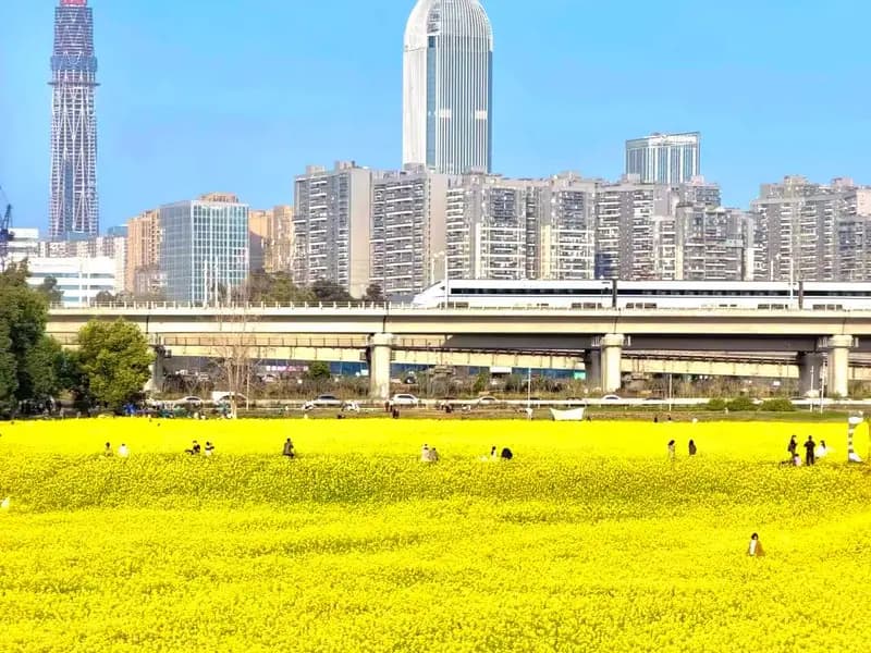 Best Time to Visit Chengdu: An Honest Season-by-Season Guide