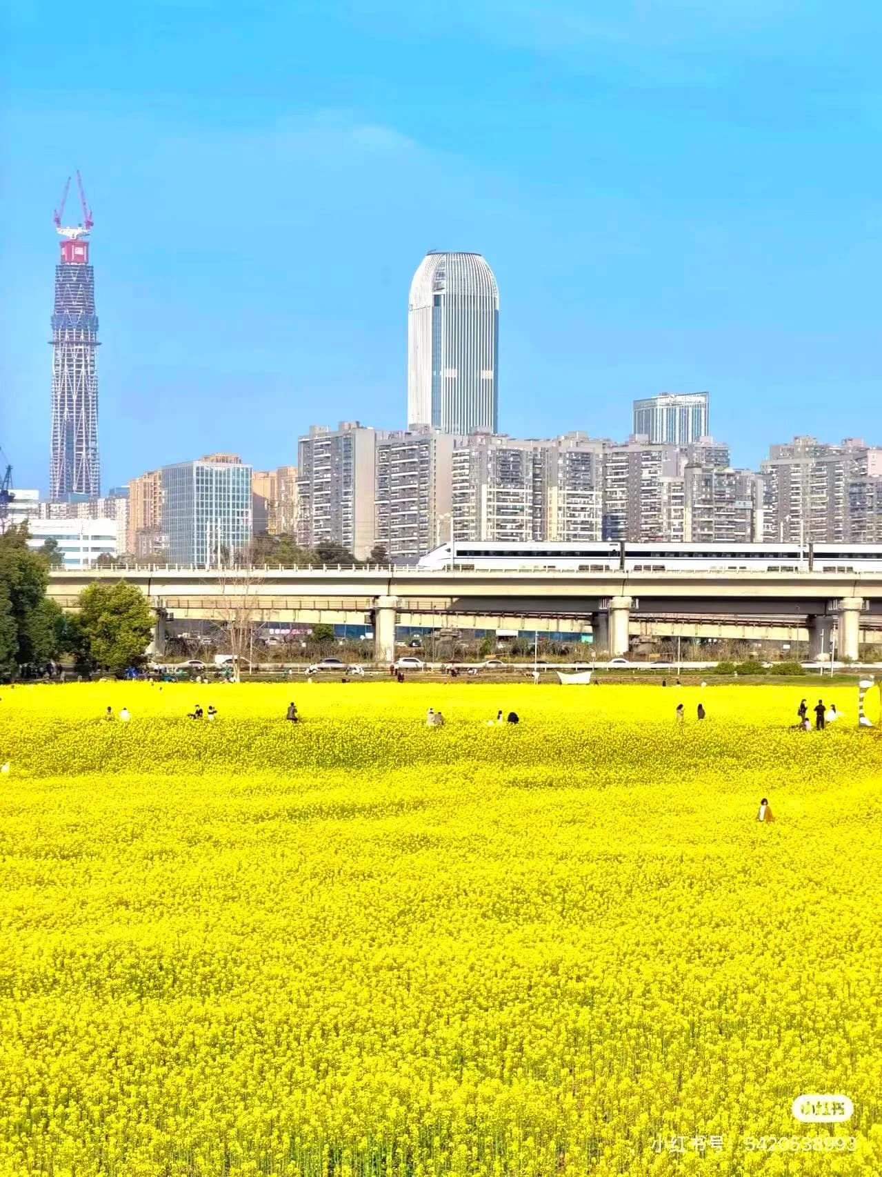 Best Time to Visit Chengdu: An Honest Season-by-Season Guide