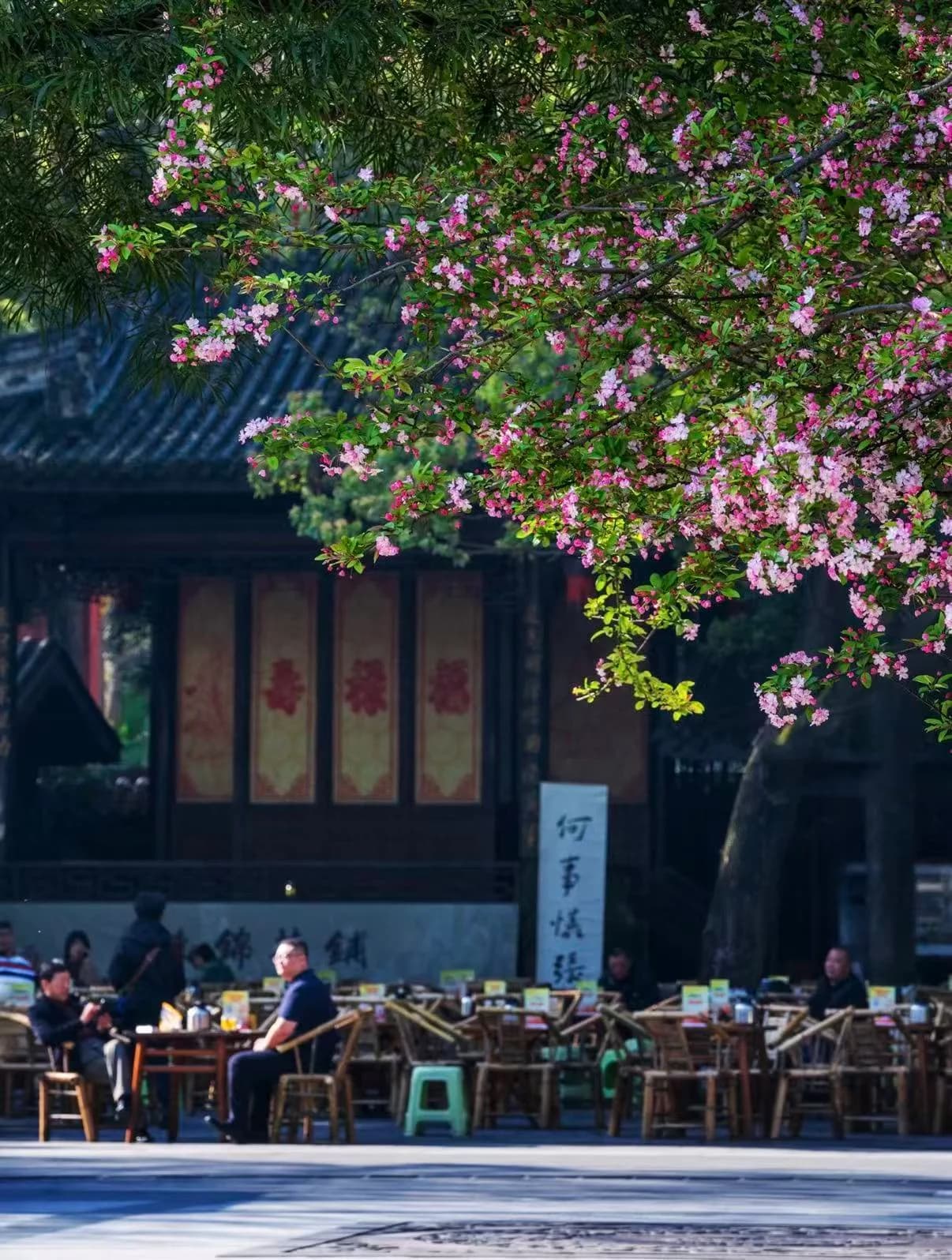 Chengdu in Spring: Pandas, Teahouses, and Heat That Doesn’t Overwhelm