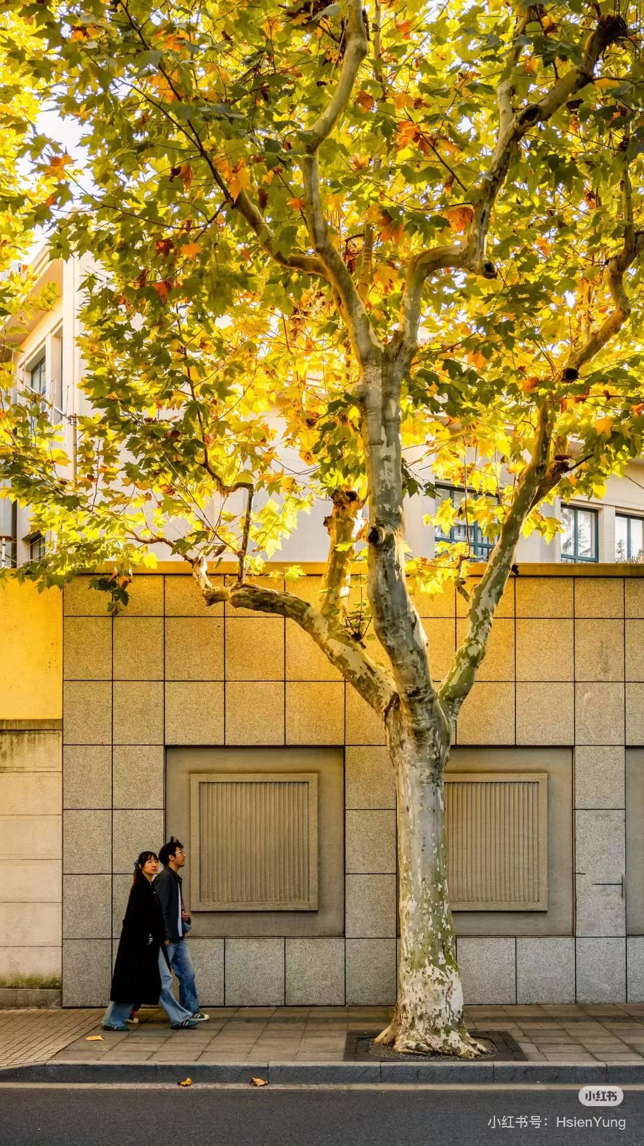 Shanghai in Autumn: The Secret Month Locals Wait For All Year