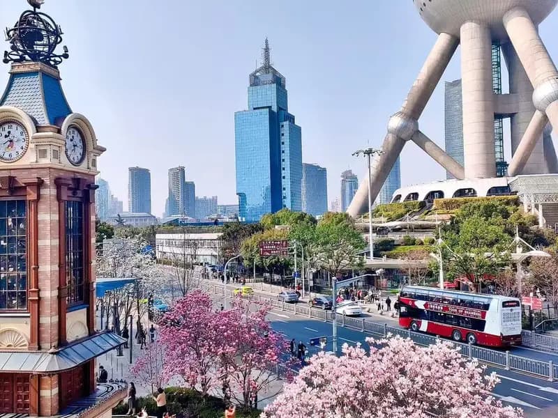 Shanghai in Spring: When the French Concession Wakes Up