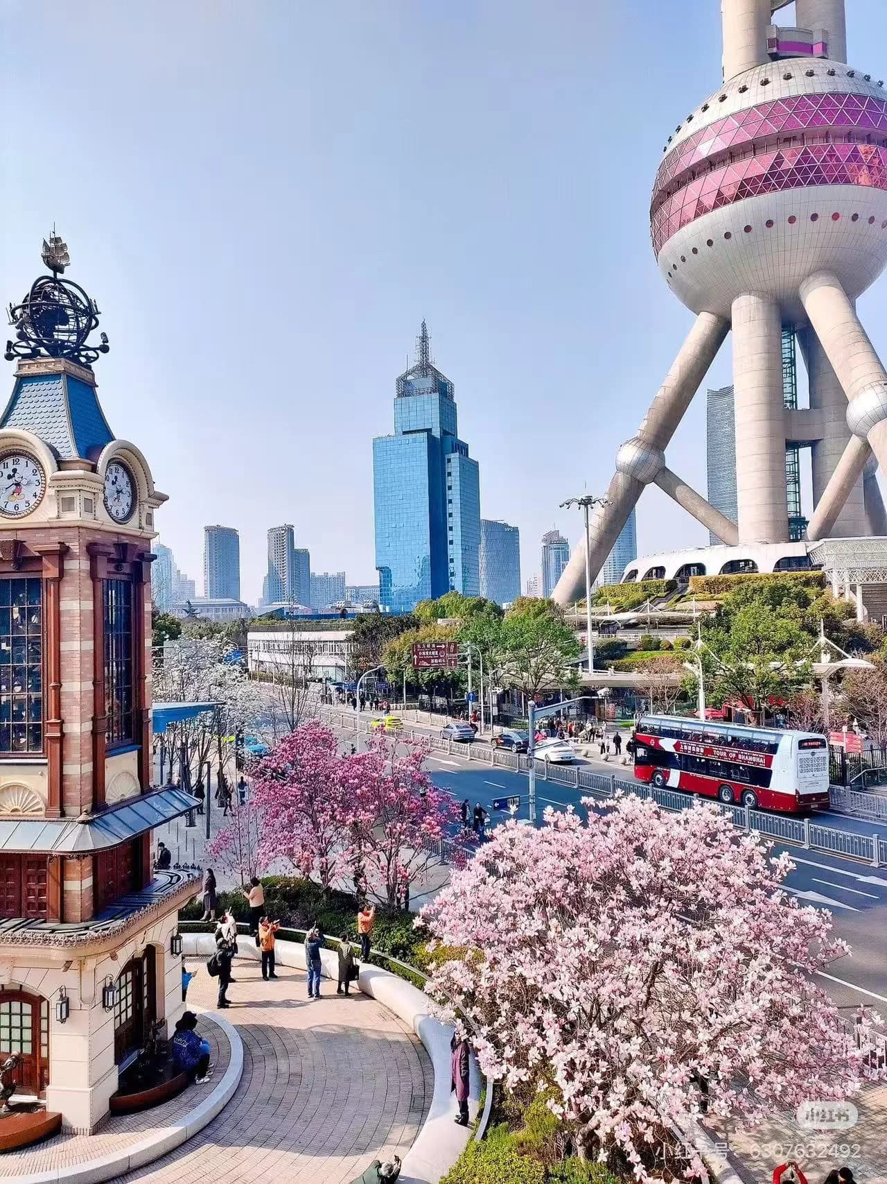 Shanghai in Spring: When the French Concession Wakes Up