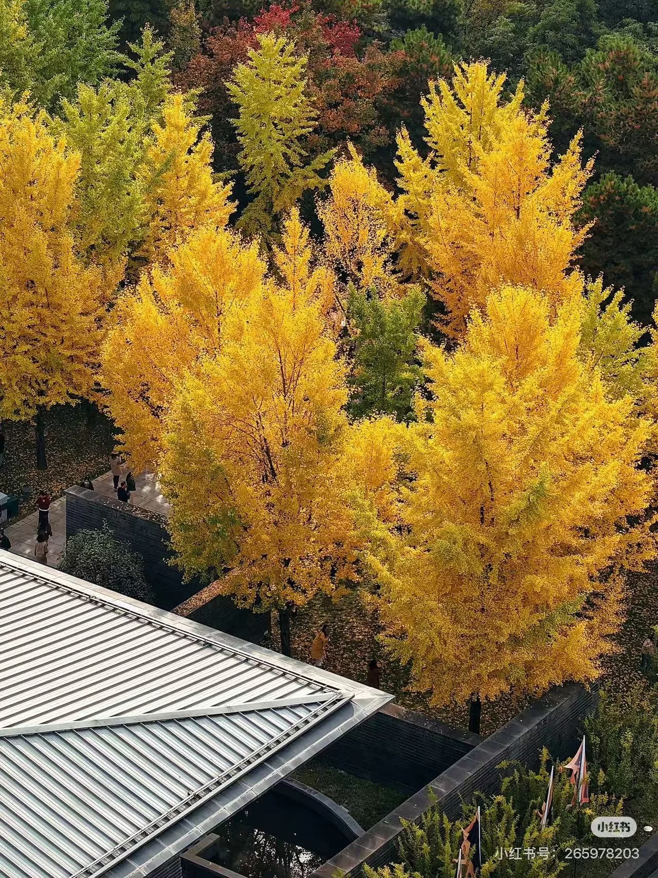 Xi'an in Autumn: Clear Skies and Quiet Walls