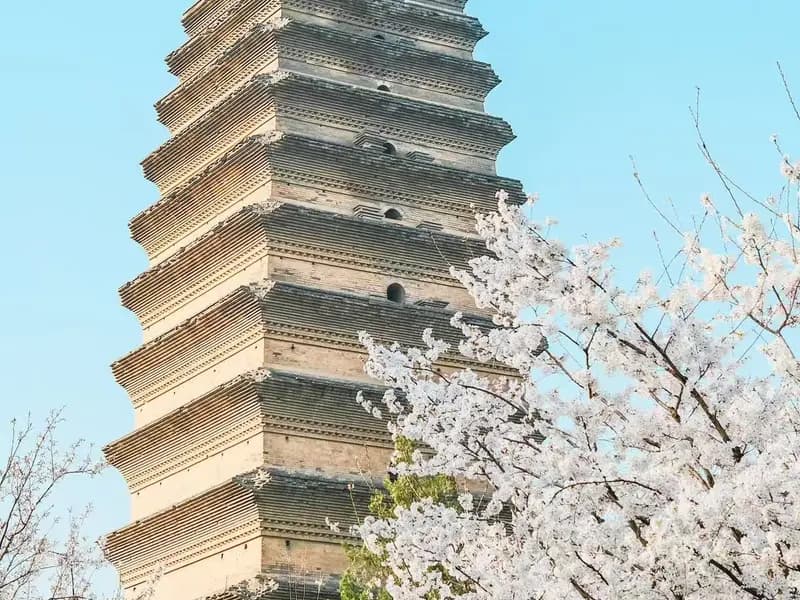 Xi'an in Spring: Cherry Blossoms and the Ancient Wall