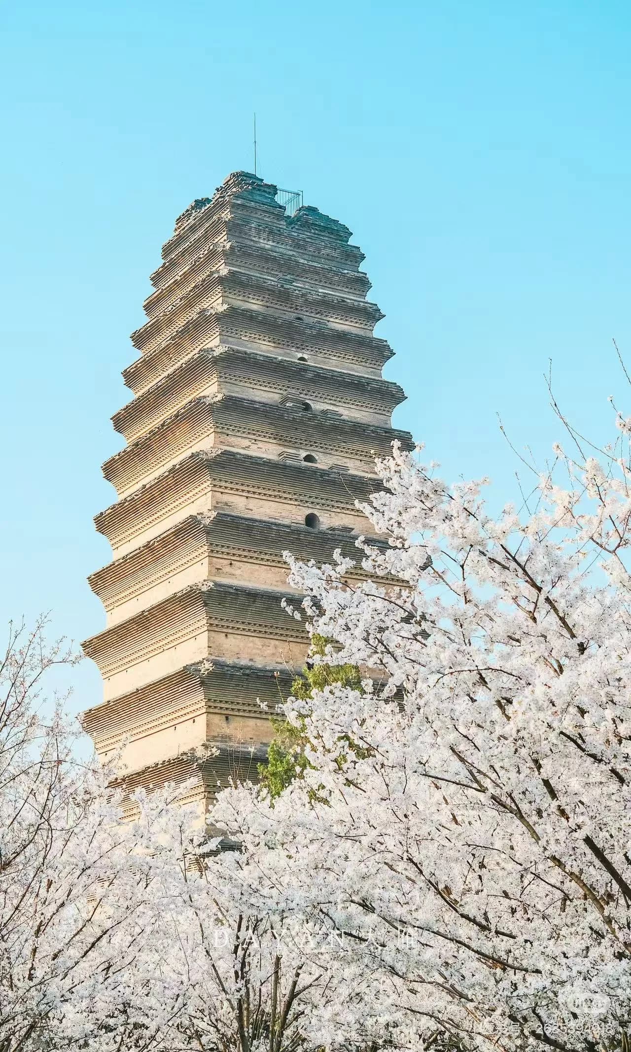 Xi'an in Spring: Cherry Blossoms and the Ancient Wall