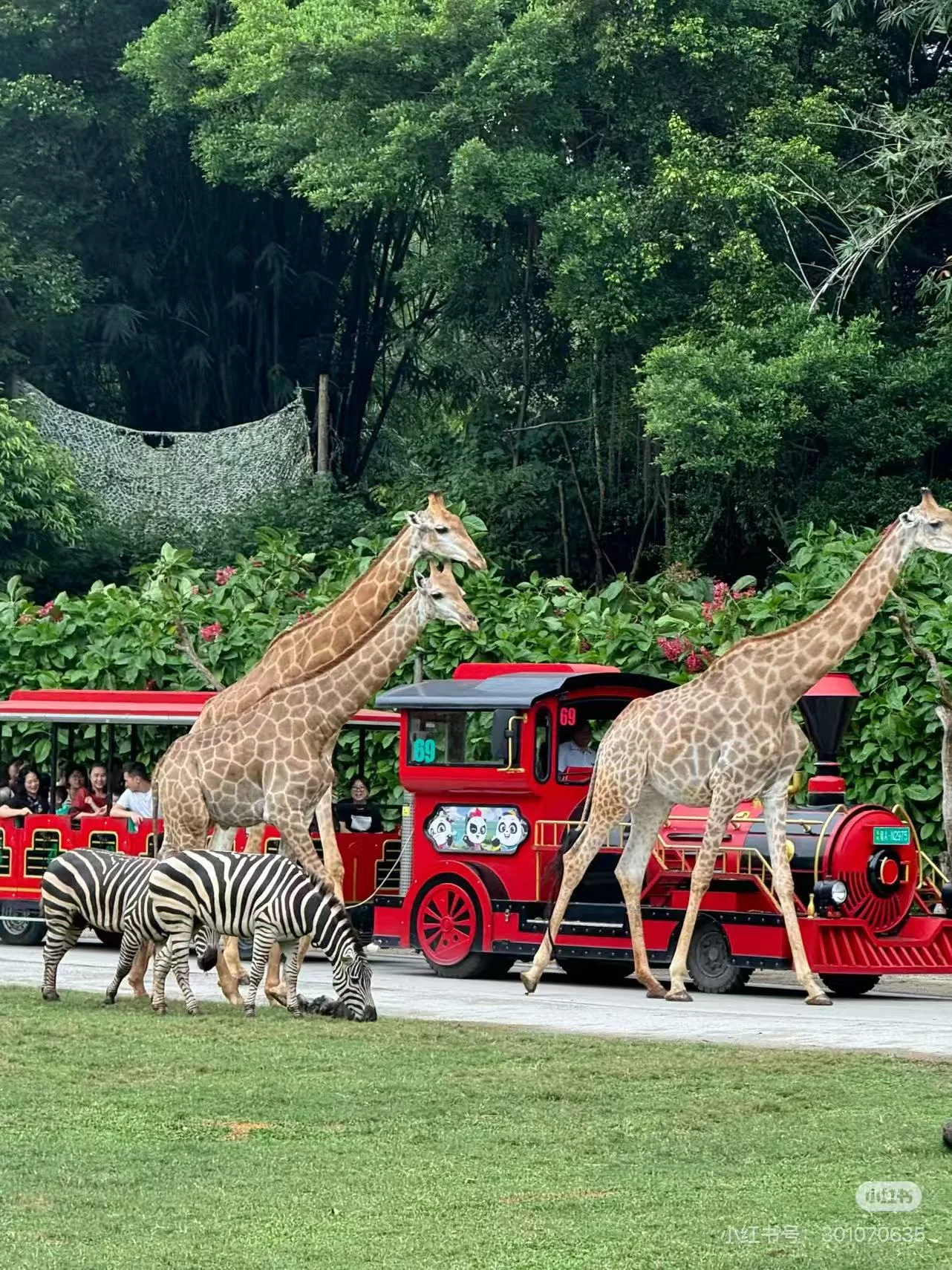 Chimelong Resort (Guangzhou)
