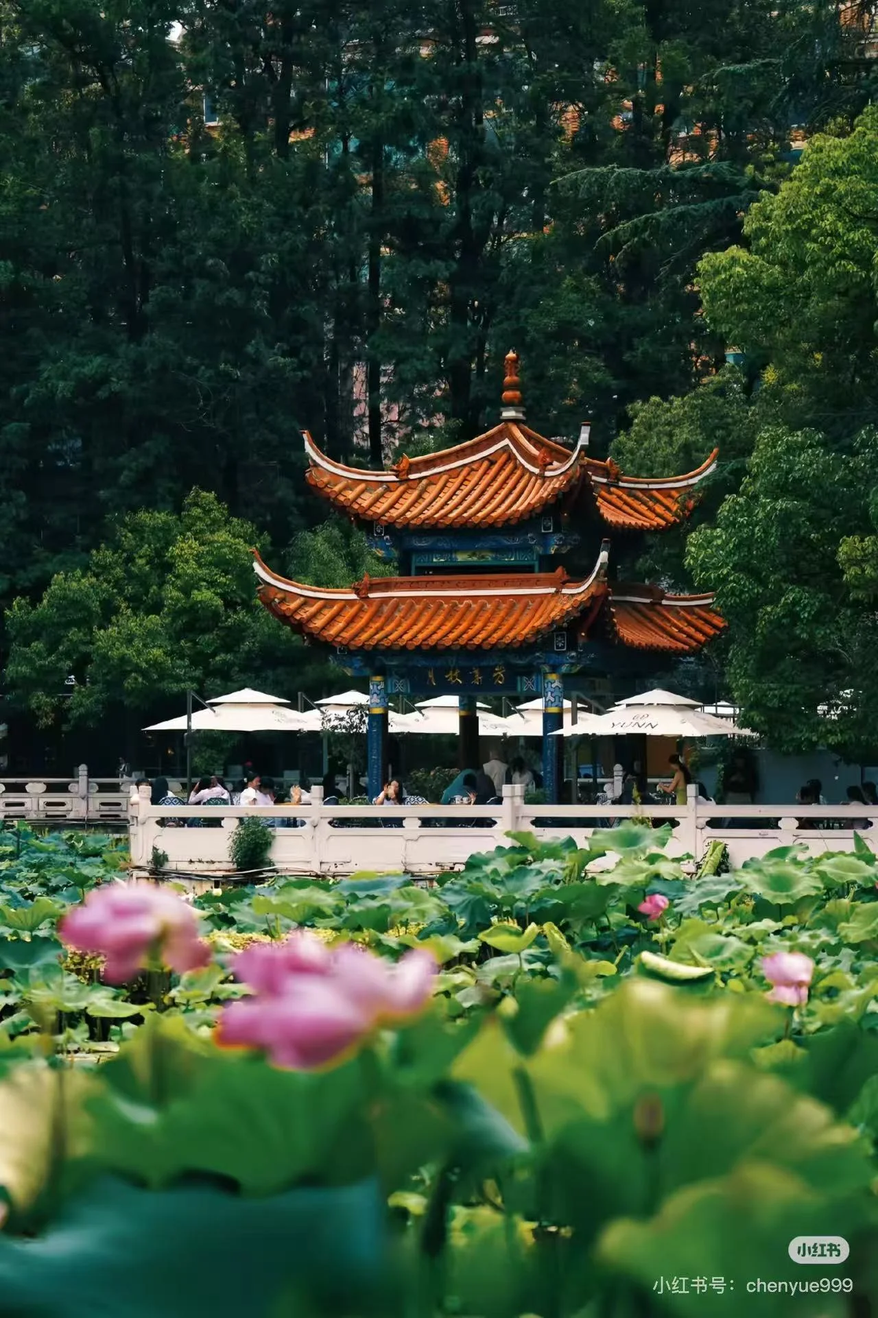 Green Lake (Cuihu), Kunming