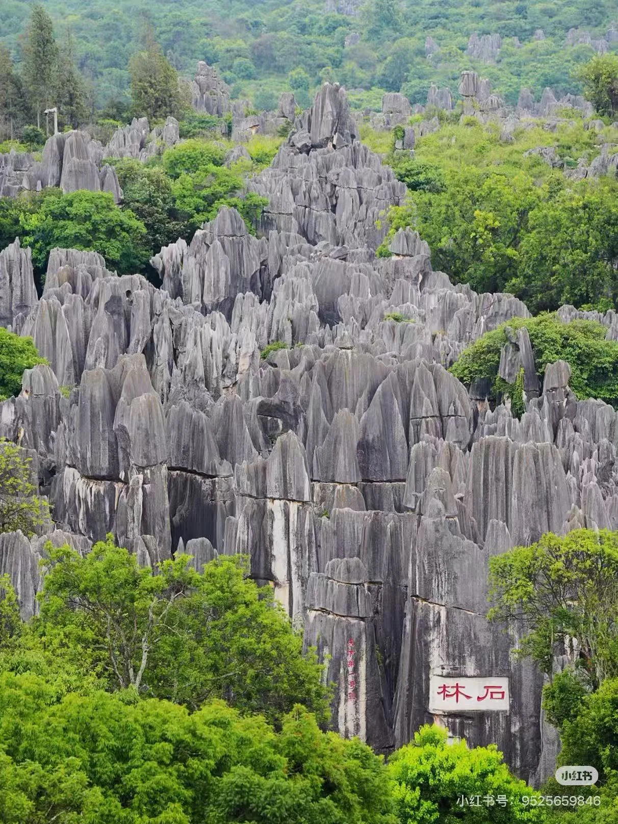 Stone Forest (Shilin)