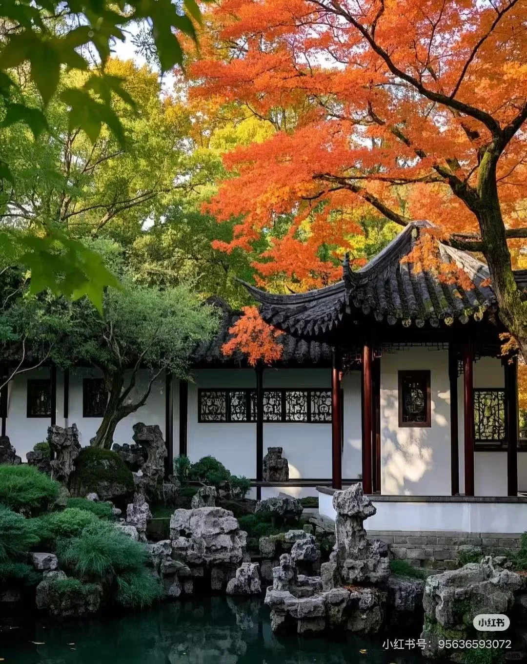 Humble Administrator's Garden (Zhuozheng Yuan)