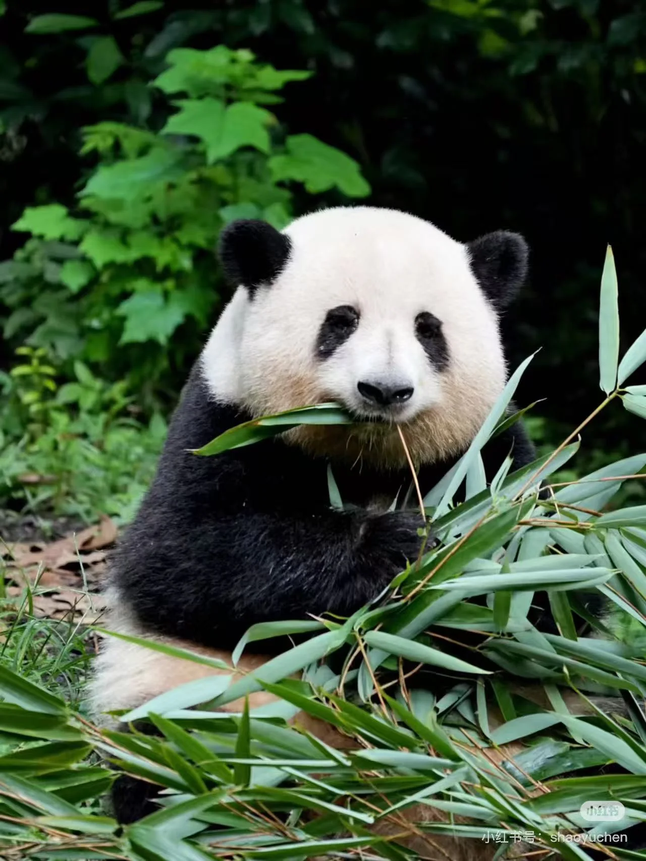 One Month in China: In-Depth Itinerary for Slow Travel